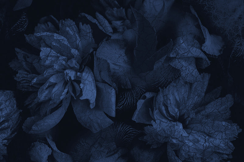 Night Blue