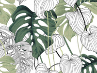 Foliage Graph
