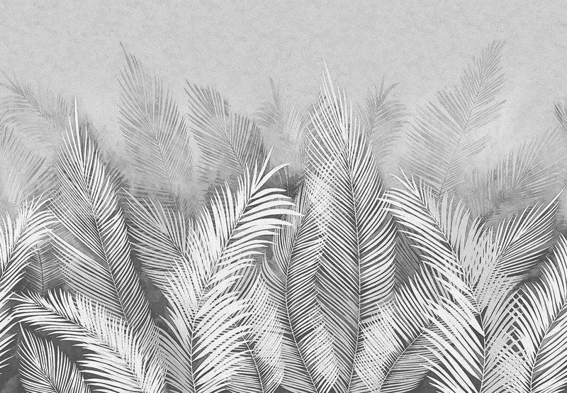 White Palms