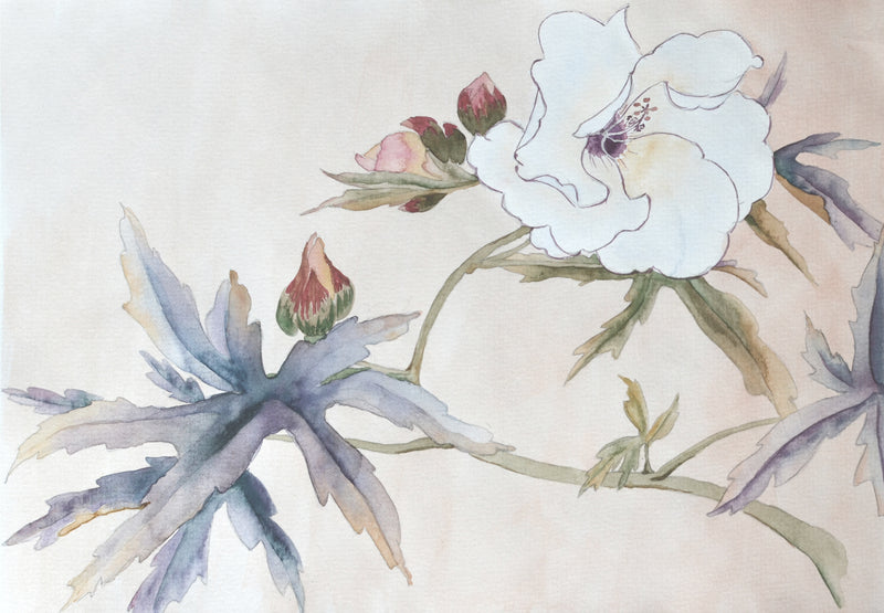 Spring flowers