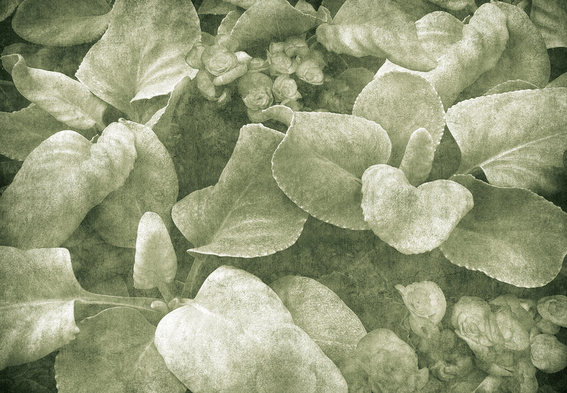 Green Garden