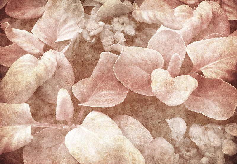 Pink Garden