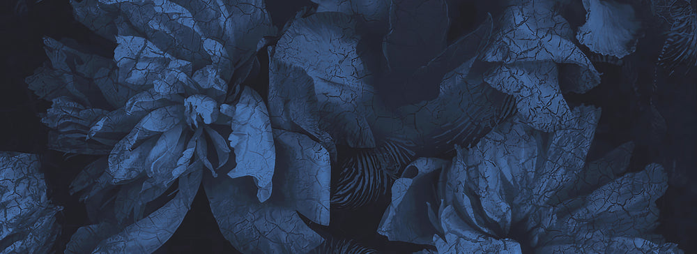 Bleu Nuit