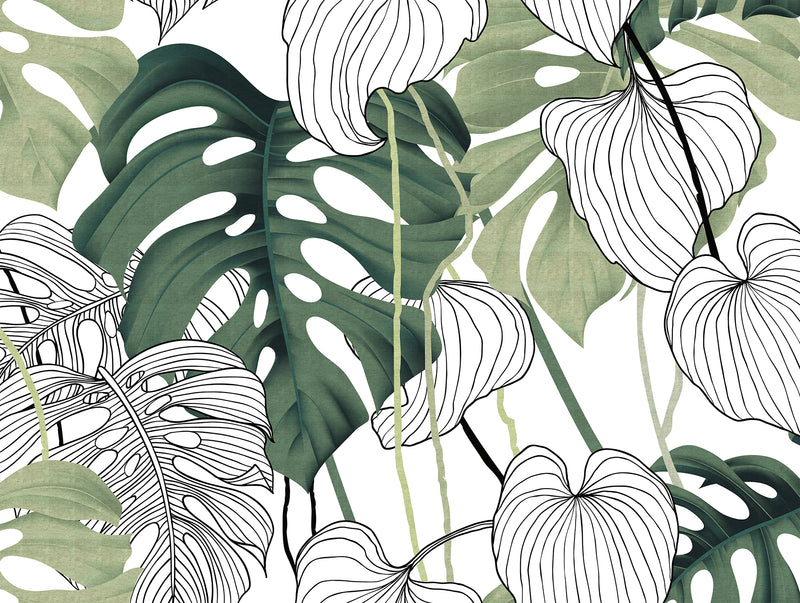 Feuillage Graphique