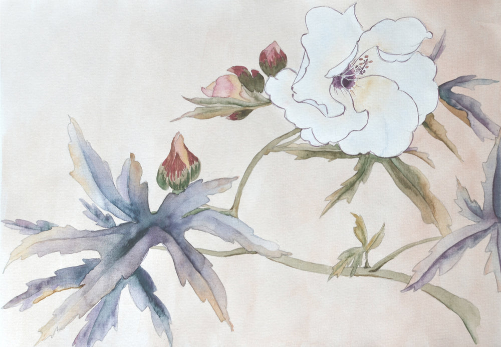 Fleurs du Printemps